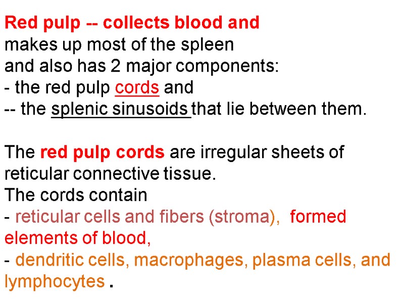 Red pulp -- collects blood and  makes up most of the spleen 